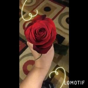 Meet your Posher, Alma